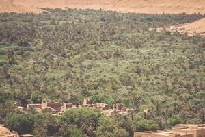cultivé des champs et paumes dans errachidie Maroc Nord Afrique Afrique photo