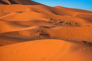 Dunes de sable dans le désert du Sahara, Merzouga, Maroc photo