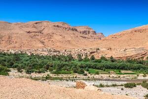 large vue de cultivé des champs et paumes dans errachidie Maroc Nord Afrique Afrique, Profond bleu ciel photo