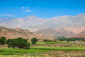 Maroc, haute atlas montagnes, agricole terre sur le fertile collines près ansi. photo