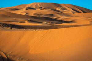 Dunes de sable dans le désert du Sahara, Merzouga, Maroc photo