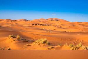 chameau caravane Aller par le le sable dunes dans le Sahara désert, Merzouga, Maroc photo