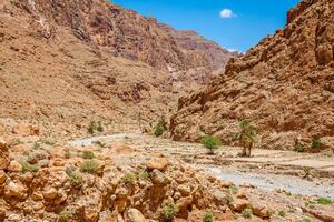Todgha gorge, une canyon dans le haute atlas montagnes dans Maroc, près le ville de tinerhir. photo