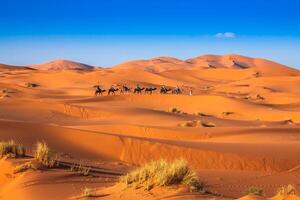 chameau caravane Aller par le le sable dunes dans le Sahara désert, Merzouga, Maroc photo