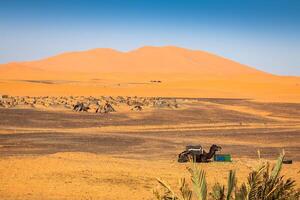 le sable dunes de erg Chebbi int il Sahara désert, Maroc photo