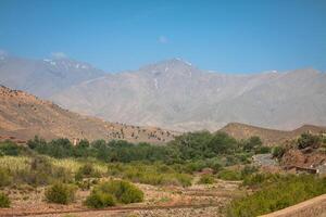 Maroc, haute atlas montagnes, agricole terre sur le fertile collines près ansi. photo