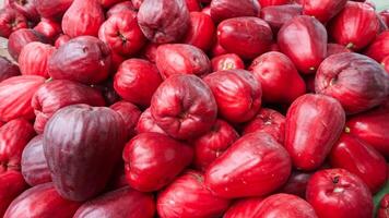 Frais rouge jamaïquain goyave fruit cette a juste été récolté photo