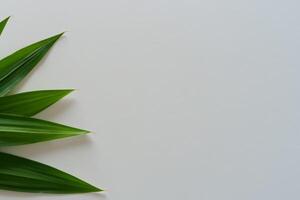 une culinaire odyssée avec le magnifique pandan feuille, infuser délicat arômes et vibrant vert teintes dans exquis plats, élevant saveur profils avec la nature Frais élégance photo