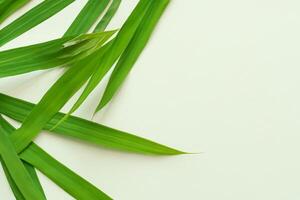 une culinaire odyssée avec le magnifique pandan feuille, infuser délicat arômes et vibrant vert teintes dans exquis plats, élevant saveur profils avec la nature Frais élégance photo