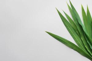 une culinaire odyssée avec le magnifique pandan feuille, infuser délicat arômes et vibrant vert teintes dans exquis plats, élevant saveur profils avec la nature Frais élégance photo