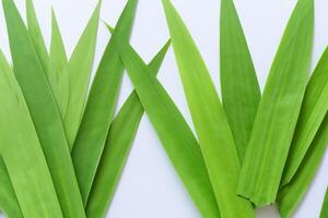 une culinaire odyssée avec le magnifique pandan feuille, infuser délicat arômes et vibrant vert teintes dans exquis plats, élevant saveur profils avec la nature Frais élégance photo