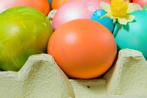 se délecter dans le beauté de magnifique Pâques œufs, où vibrant teintes Danse sur lisse coquilles, création une capricieux kaléidoscope de joie, saupoudrage de fête acclamation et coloré élégance photo