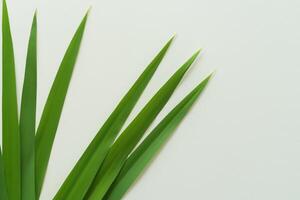 une culinaire odyssée avec le magnifique pandan feuille, infuser délicat arômes et vibrant vert teintes dans exquis plats, élevant saveur profils avec la nature Frais élégance photo