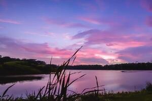 serein des eaux une bienheureux réflexion de une magnifique pastel Lac et ciel, où tranquillité se rencontre la nature palette, création une harmonieux oasis de doux teintes et éthéré beauté photo