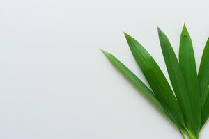 une culinaire odyssée avec le magnifique pandan feuille, infuser délicat arômes et vibrant vert teintes dans exquis plats, élevant saveur profils avec la nature Frais élégance photo