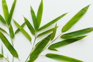 embrassement le séduire de magnifique bambou feuilles, où gracieux vert lames Danse dans harmonieux symphonie, création une tranquille oasis de la nature équilibre et intemporel beauté photo