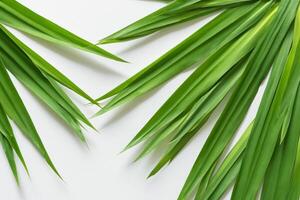 une culinaire odyssée avec le magnifique pandan feuille, infuser délicat arômes et vibrant vert teintes dans exquis plats, élevant saveur profils avec la nature Frais élégance photo