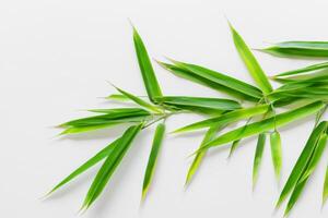 embrassement le séduire de magnifique bambou feuilles, où gracieux vert lames Danse dans harmonieux symphonie, création une tranquille oasis de la nature équilibre et intemporel beauté photo