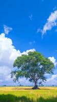 ai généré solitaire Bodhi arbre contre bleu ciel dans paisible paddy champ verticale mobile fond d'écran photo
