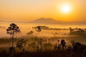 paysage de thung salaeng Luang nationale parc phetchabun Province magnifique la nature de lever du soleil et Matin brouillard dans le savane dans hiver saison Thaïlande. photo