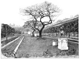 Palais Royal jardin, le pelouse de le sud, ancien gravure. photo