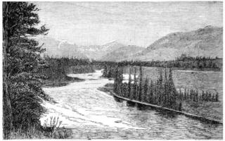 le arc rivière près Padmore, ancien gravure. photo