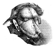 une masque parmi le sauvages de le détroit de Torres, ancien gravure. photo