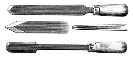 orge céréales formes, ancien gravure. photo