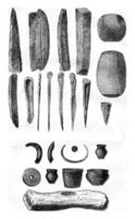 gaulois instruments, objets découvert dans le des lacs de Suisse, assiette ii, ancien gravure. photo