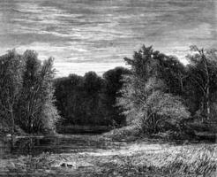 une forêt sur le bord de lehigh, Pennsylvanie, ancien gravure. photo