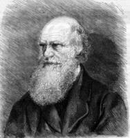 Charles Darwin décédés dans avril de 1882 après une photographier, ancien gravure. photo