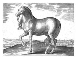 cheval de sicile, ancien illustration. photo