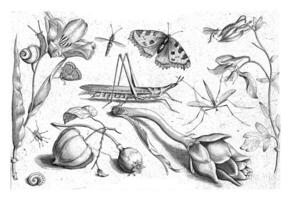 animaux et les plantes autour une sauterelle et un Artichoc photo