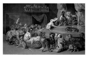 chiens offre une lettre, Johannes de jument, après Bernard te gempt, 1860 - 1879 photo