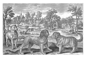 chiens, adrien collier, 1595 - 1633 photo