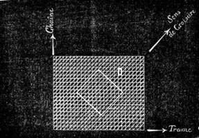 manière de compte le des crosses, ancien gravure. photo