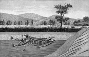 Couper par une peu couches de le la terre croûte avec le squelette de une mastodonte, ancien gravure. photo