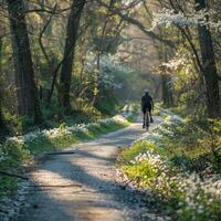 printemps fleur doublé Piste vélo, Frais air et liberté incarné photo