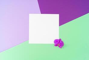 Créatif composition fabriqué avec Naturel orchidée fleur et blanc papier carte Remarque sur abstrait géométrique Contexte. pastel vert, lumière violet et foncé violet tendance couleurs. minimal concept et simplicité photo
