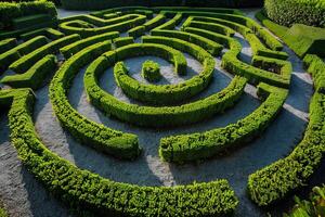 ai généré ornemental haie Labyrinthe dans le jardin photo