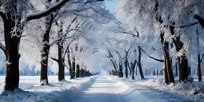 ai généré neigeux forêt avec sentier. hiver paysage. Fée conte illustration. génératif ai photo