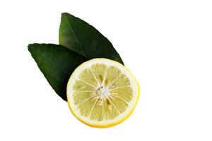 isolé citron tranches sur blanc Contexte. le fruit est rond et ovale. le Jeune fruit est vert. lorsque cuit il volonté être Jaune. le fruit la chair est juteux et acide goût. photo