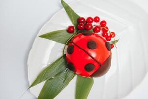 conception gâteau dans le forme de coccinelle sur une blanc Contexte photo