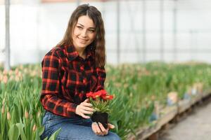 magnifique Jeune souriant fille, ouvrier avec fleurs dans serre. concept travail dans le serre, fleurs, tulipes, boîte avec fleurs. copie espace. photo