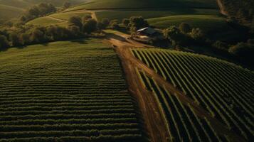 ai généré un aérien vue de une vignoble et ferme photo