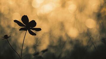 ai généré magnifique fleur dans le Prairie à le coucher du soleil. photo