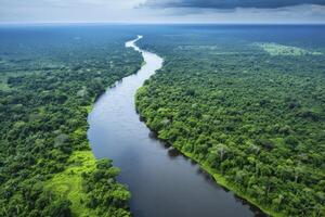 ai généré un aérien, de haut en bas vue capturer le enroulement chemin de une rivière comme il les flux par le luxuriant verdure de une forêt tropicale. photo