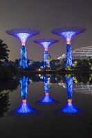 Singapour, Singapour, 2014 - jardins par le baie à nuit, Singapour, Asie photo