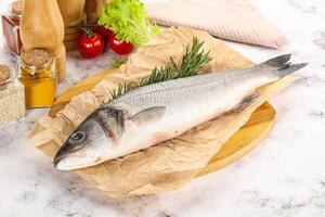 brut Loup de mer poisson pour cuisine photo