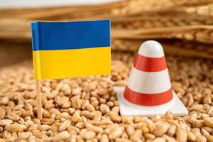 grains de blé avec drapeau de l'ukraine, exportation commerciale et concept d'économie. photo